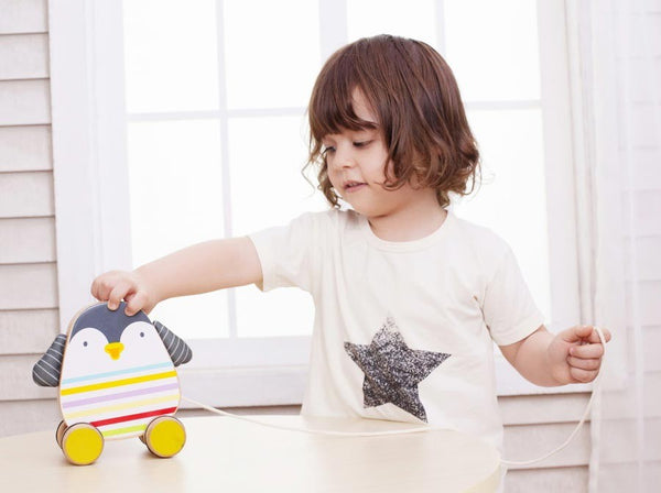 Wooden Pull-Along Penguin Toy