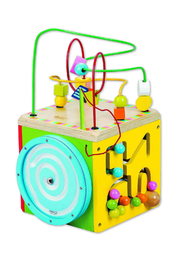 Didactic Wooden Cube