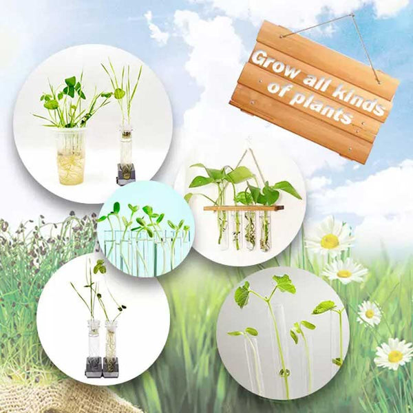 Kids' plant growing kit
